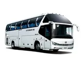 Buses